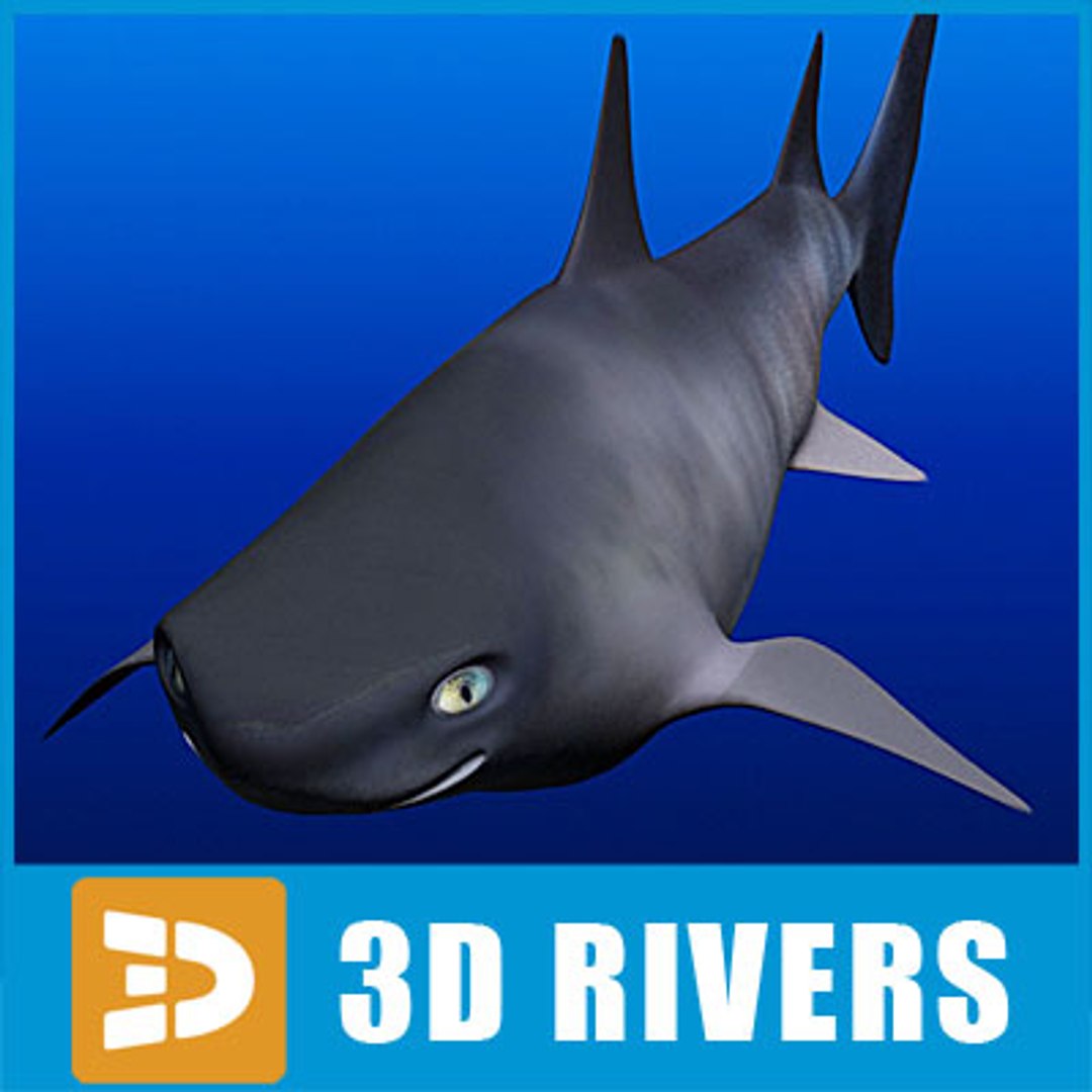 Katran Fish 3d 3ds