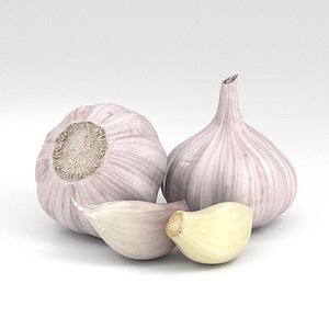 3D garlic vegetable food model