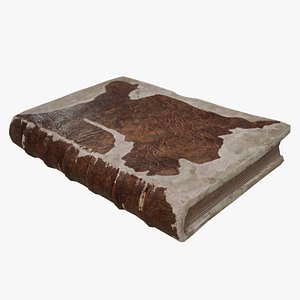 3D Old Leather Book