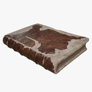 Old Leather Book