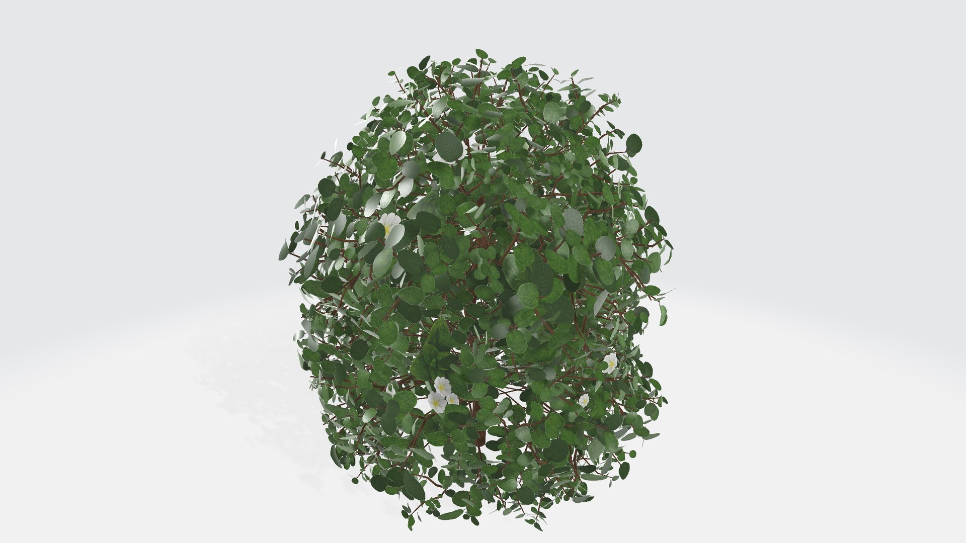 Bush with flowers 3D model https://p.turbosquid.com/ts-thumb/z4/aHoRtu/NI/shrub00/png/1735377158/1920x1080/fit_q87/f5ef2456c07e3c1e125dcf4a7d318a8834467abe/shrub00.jpg