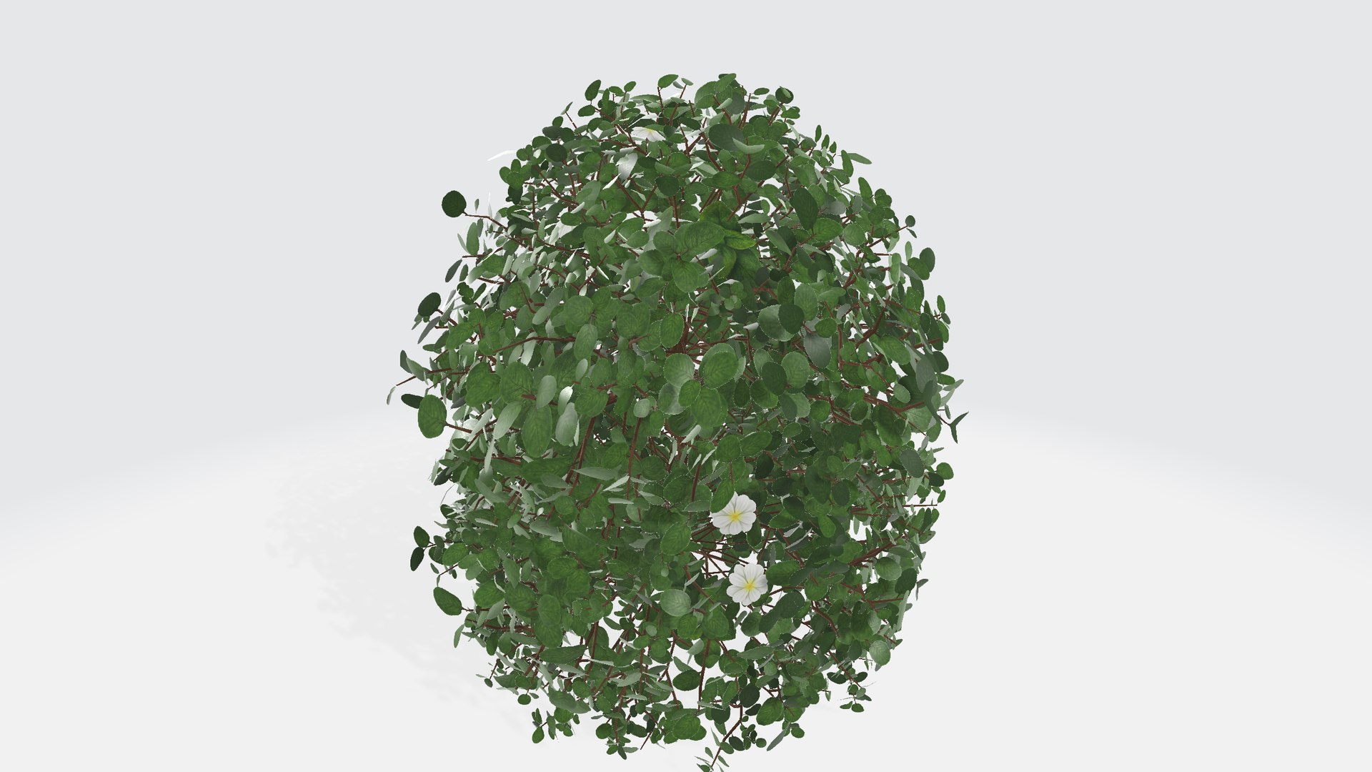 Bush with flowers 3D model https://p.turbosquid.com/ts-thumb/z4/aHoRtu/TL/shrub00123/png/1735377168/1920x1080/fit_q87/ecfca6a91ed5ffc1a239e9e21914b2404f064256/shrub00123.jpg