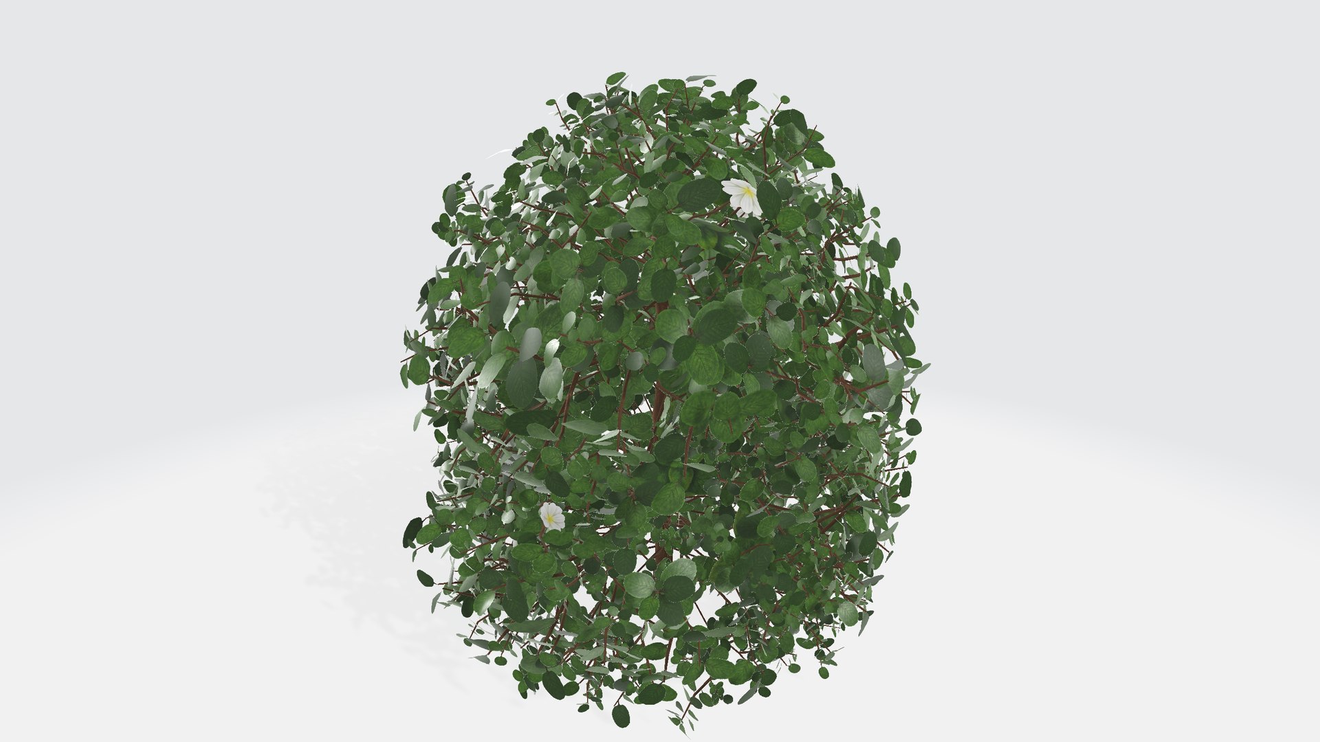 Bush with flowers 3D model https://p.turbosquid.com/ts-thumb/z4/aHoRtu/dI/shrub001234/png/1735377167/1920x1080/fit_q87/89679ebc25932716f0ee4cf802f8135cd84e4b49/shrub001234.jpg