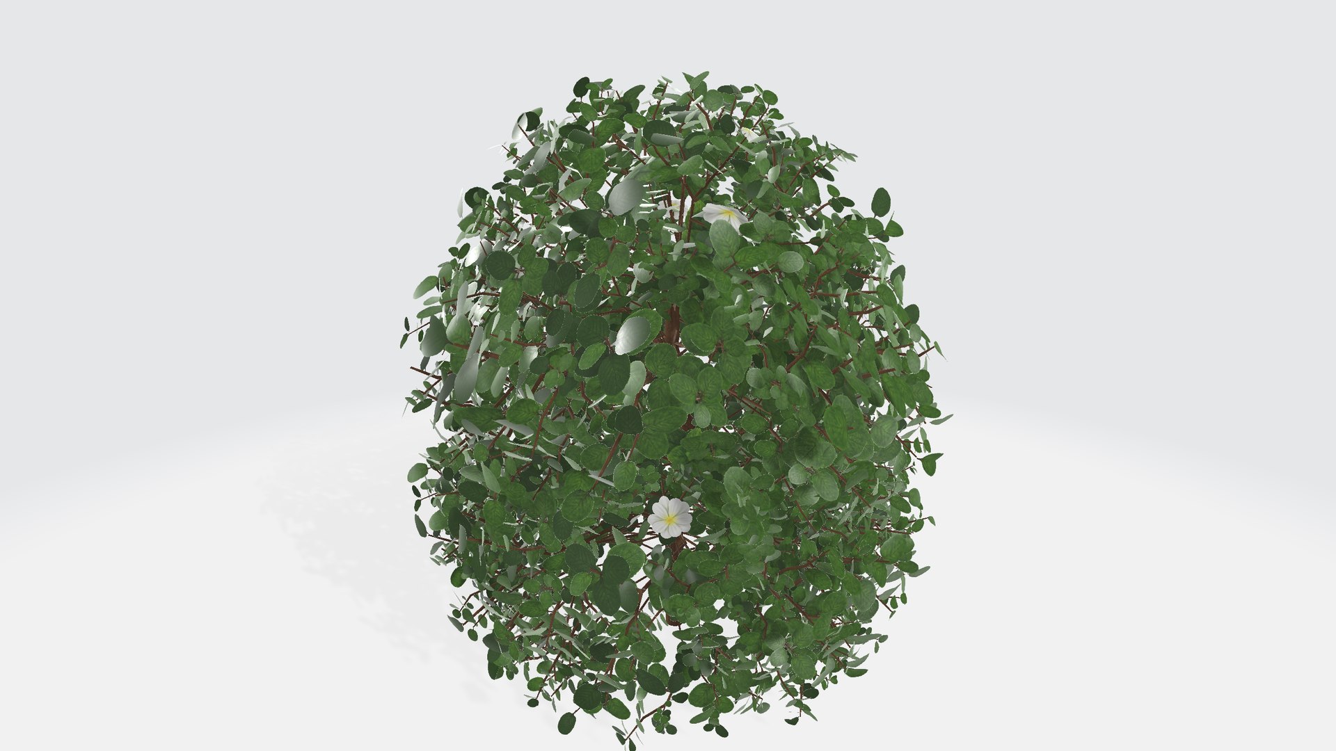Bush with flowers 3D model https://p.turbosquid.com/ts-thumb/z4/aHoRtu/ed/shrub0012/png/1735377160/1920x1080/fit_q87/d54cbcad6bb5c21019baee2fd0d77b645c99015c/shrub0012.jpg