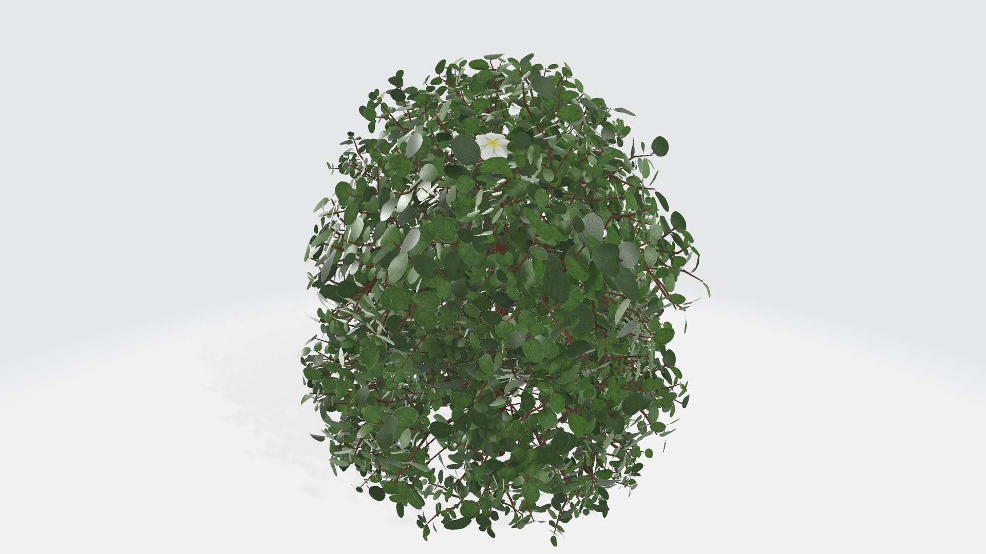 Bush with flowers 3D model https://p.turbosquid.com/ts-thumb/z4/aHoRtu/ig/shrub001/png/1735377158/1920x1080/fit_q87/0497de537a0f19e9084945c920485bb888bdb934/shrub001.jpg