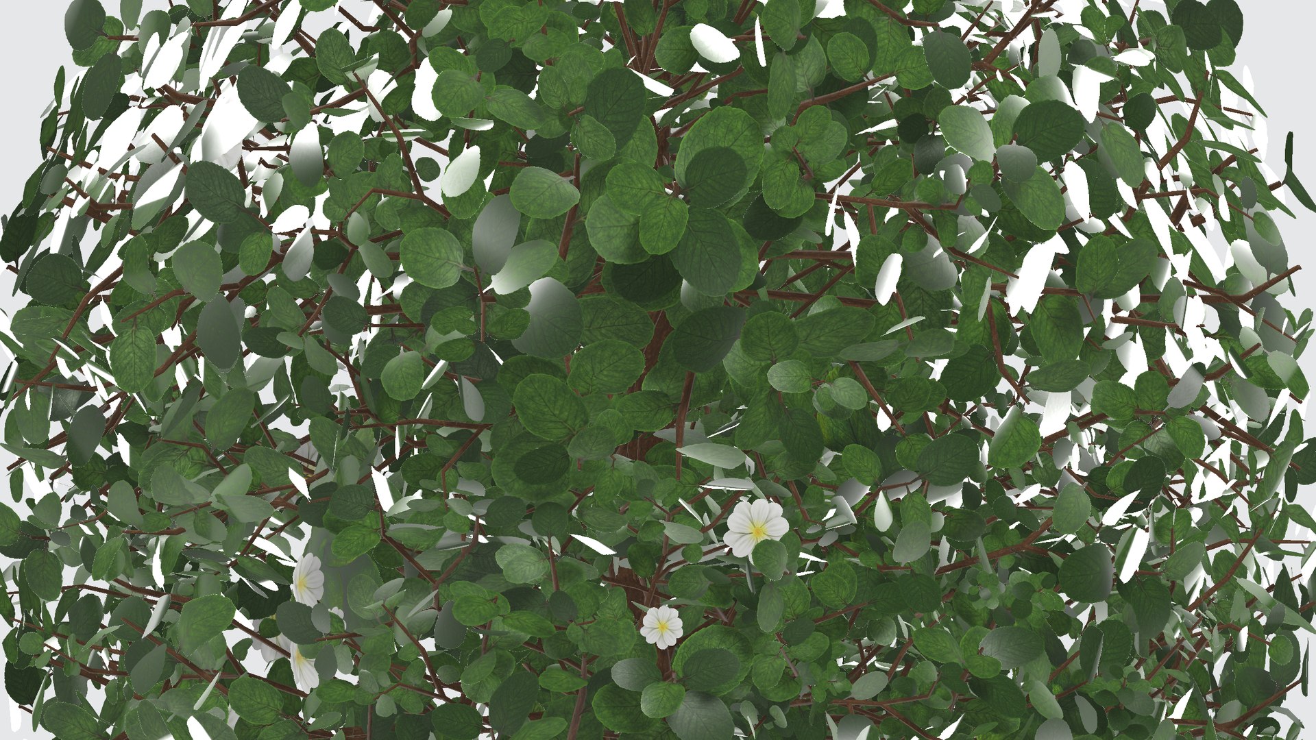 Bush with flowers 3D model https://p.turbosquid.com/ts-thumb/z4/aHoRtu/kO/bushwithflowers99/png/1735377449/1920x1080/fit_q87/2c76ba8feb546471f52f6ef64c2db4150c11c8bd/bushwithflowers99.jpg