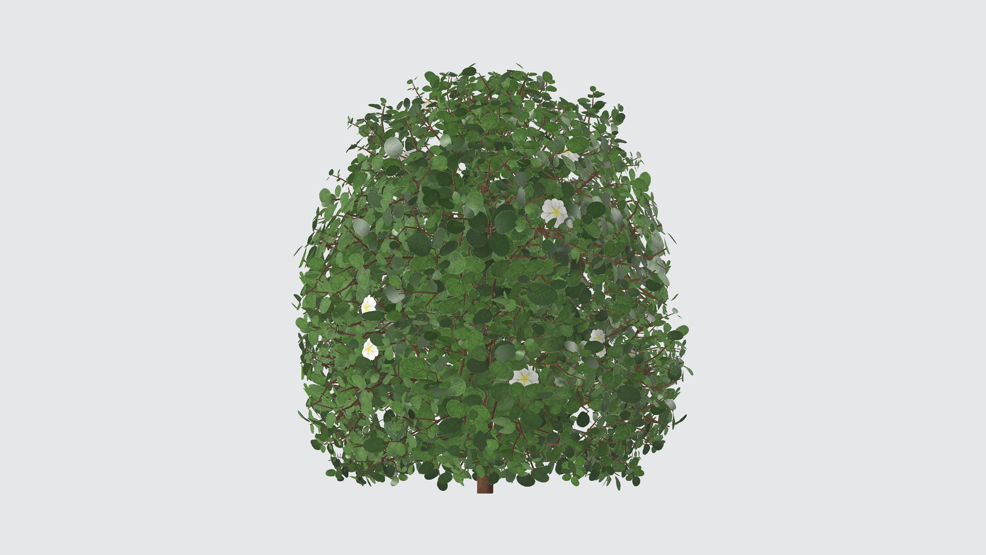 Bush with flowers 3D model https://p.turbosquid.com/ts-thumb/z4/aHoRtu/uI/shrub0012345/png/1735377162/1920x1080/fit_q87/b0ec768e5319ce6f844b4597ed68daa24dacf535/shrub0012345.jpg