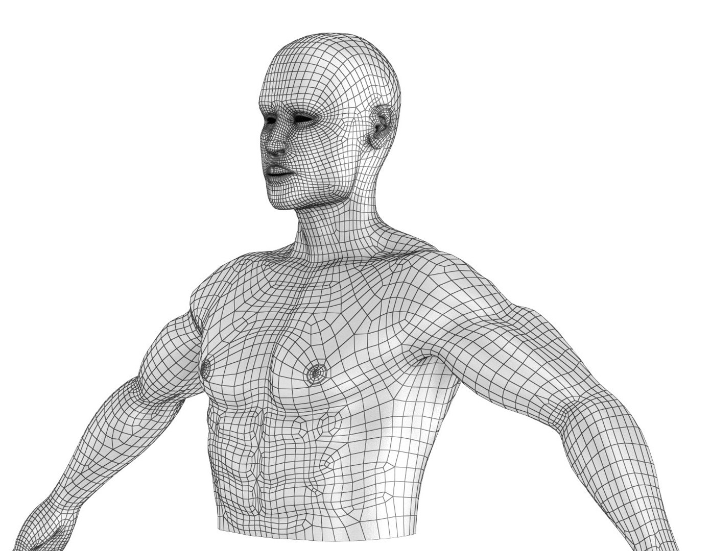 3D xray human brain anatomy https://p.turbosquid.com/ts-thumb/z4/djBA3t/sLQdJNaW/greed3/jpg/1513325213/1920x1080/fit_q87/08998e7ea031261c6b8d29b723eb53ad004acf70/greed3.jpg