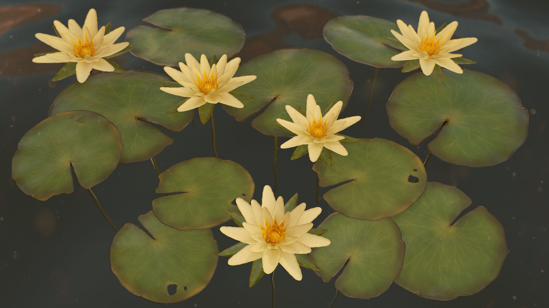 water lilies ready pbr 3D model https://p.turbosquid.com/ts-thumb/z4/fs63Oh/Y3x8WOcj/3/png/1589553447/1920x1080/fit_q87/2845b4508c84b89df8d667434a06980412dccc60/3.jpg