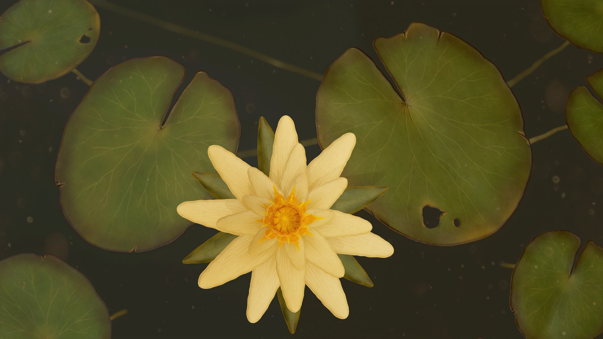 water lilies ready pbr 3D model https://p.turbosquid.com/ts-thumb/z4/fs63Oh/q7Esr7RC/4/png/1589553468/1920x1080/fit_q87/30baeca5289775094a16b87ffe8bc34df05d96a2/4.jpg