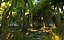 real palm forest hd 3D model