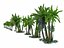 real palm forest hd 3D model