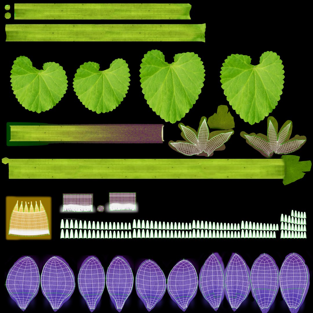 3d violet single standing - model