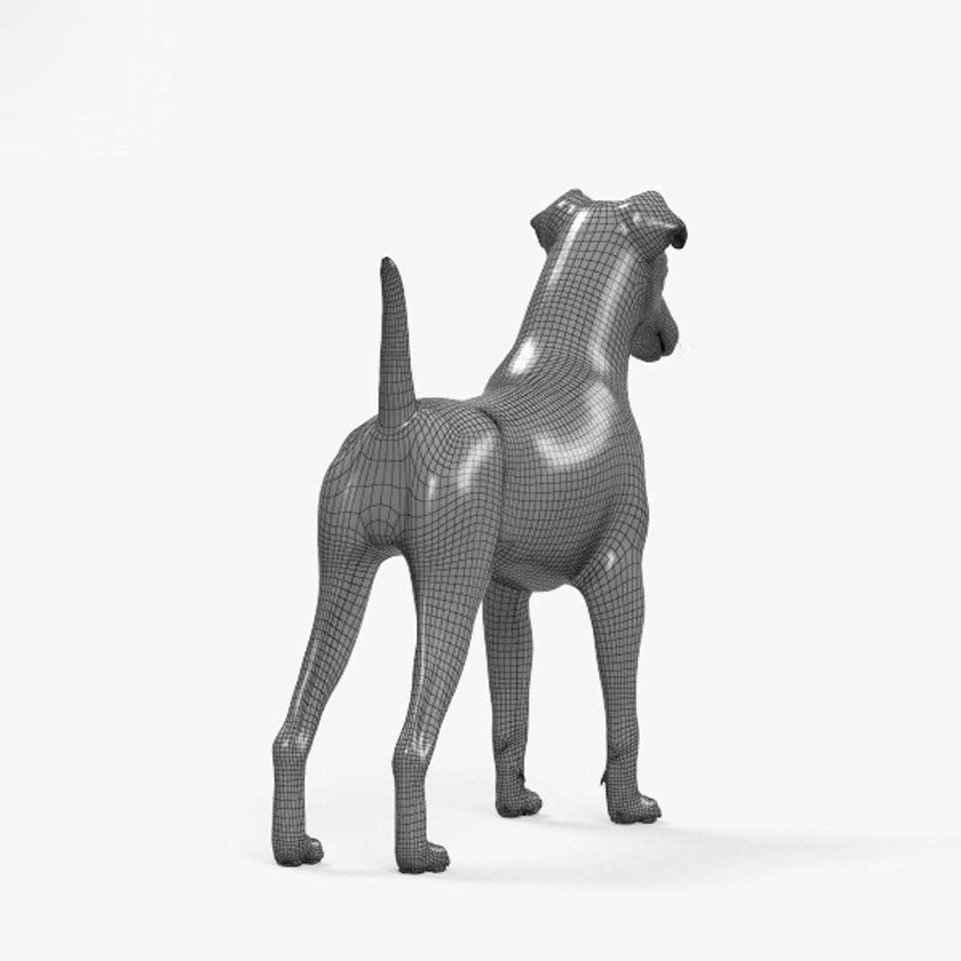 3D model fox terrier - TurboSquid 1380723