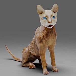 Cat White Rigged in Blender 3D model