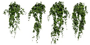 Collection plant vol 412 - blender model 3D