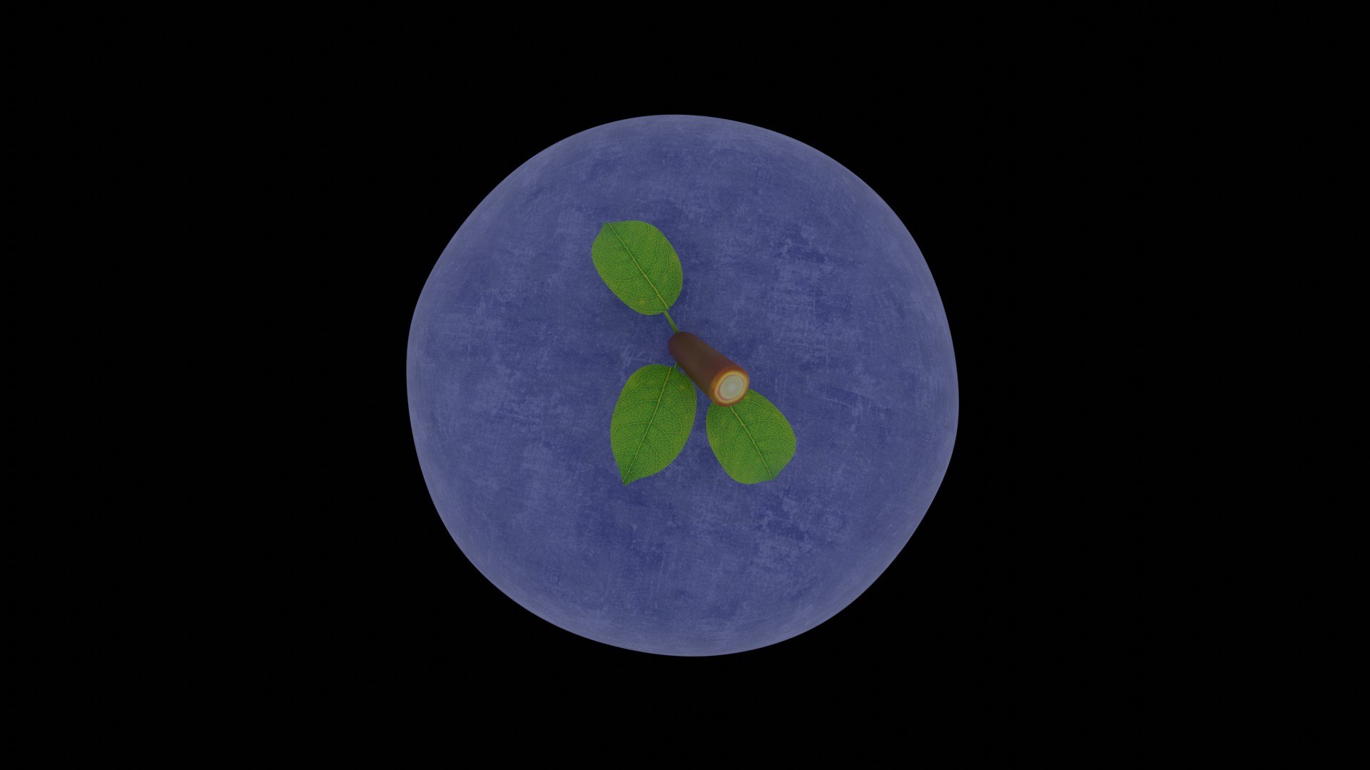 Blue Berry 3D Model - TurboSquid 2025892