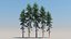 10 cedar trees 3D model