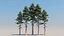 10 cedar trees 3D model