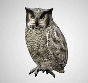 Realistic Low Poly and Rigged Owl