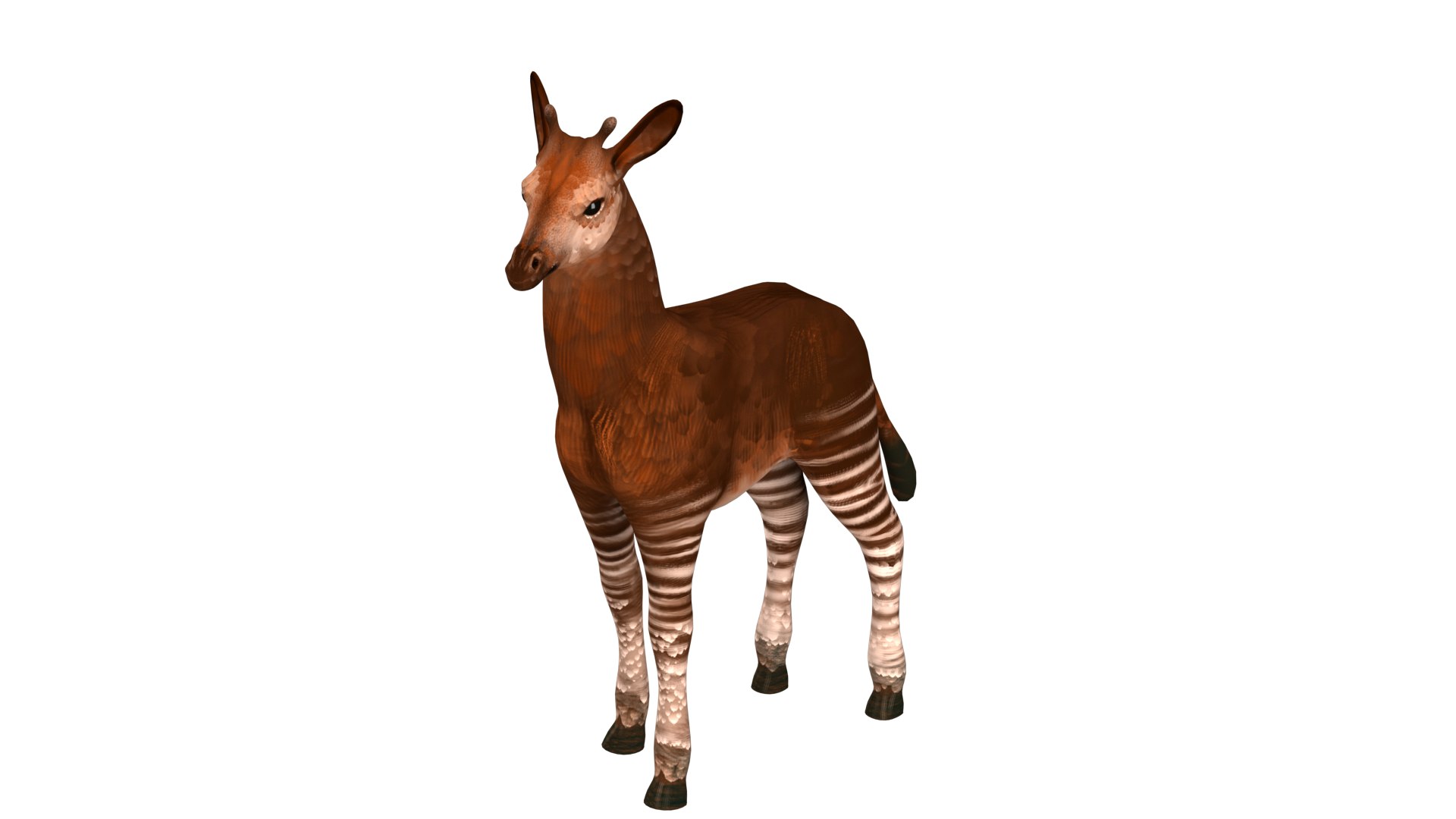 Okapi Rig High-poly Textured Model - TurboSquid 2345270
