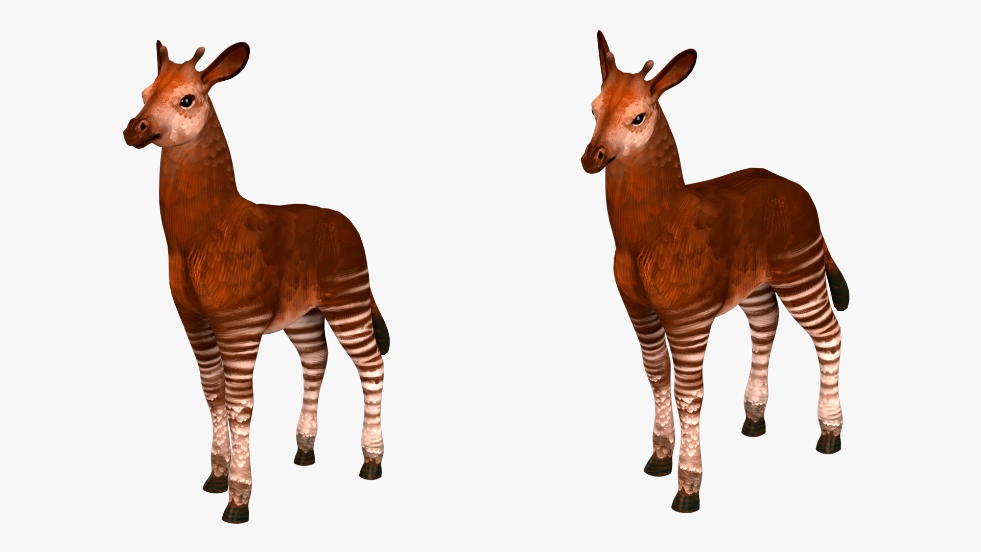 Okapi Rig High-poly Textured Model - TurboSquid 2345270