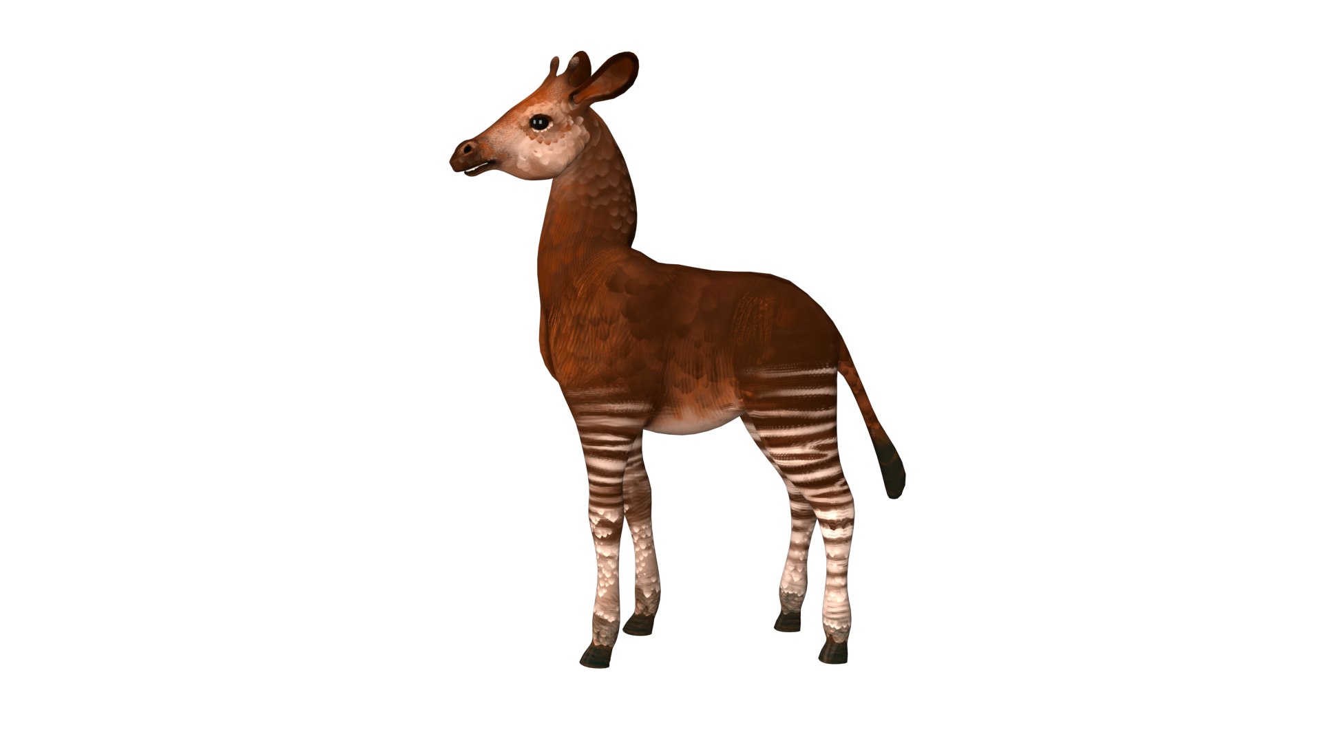 Okapi Rig High-poly Textured Model - TurboSquid 2345270