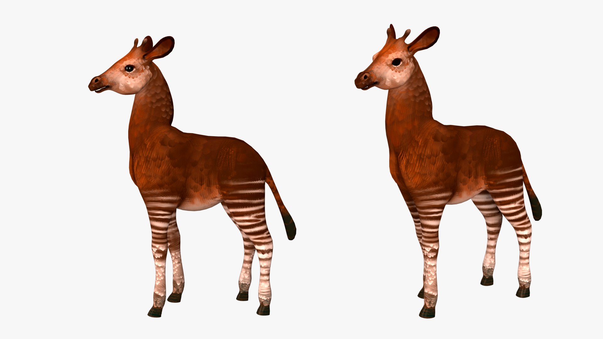 Okapi Rig High-poly Textured Model - TurboSquid 2345270
