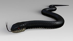 3D black viper