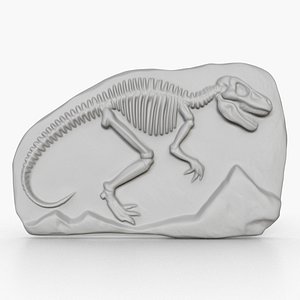 Dinosaur Fossil 006 3D