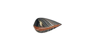 mussel 3D
