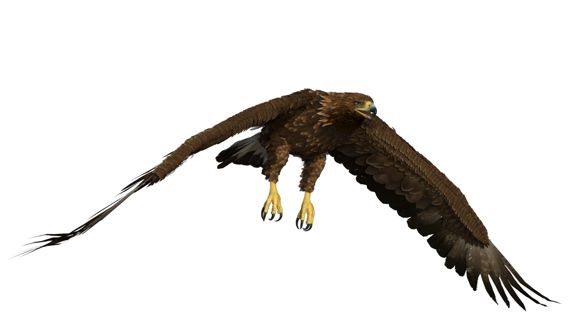 Golden Eagle Flying 3D model preview