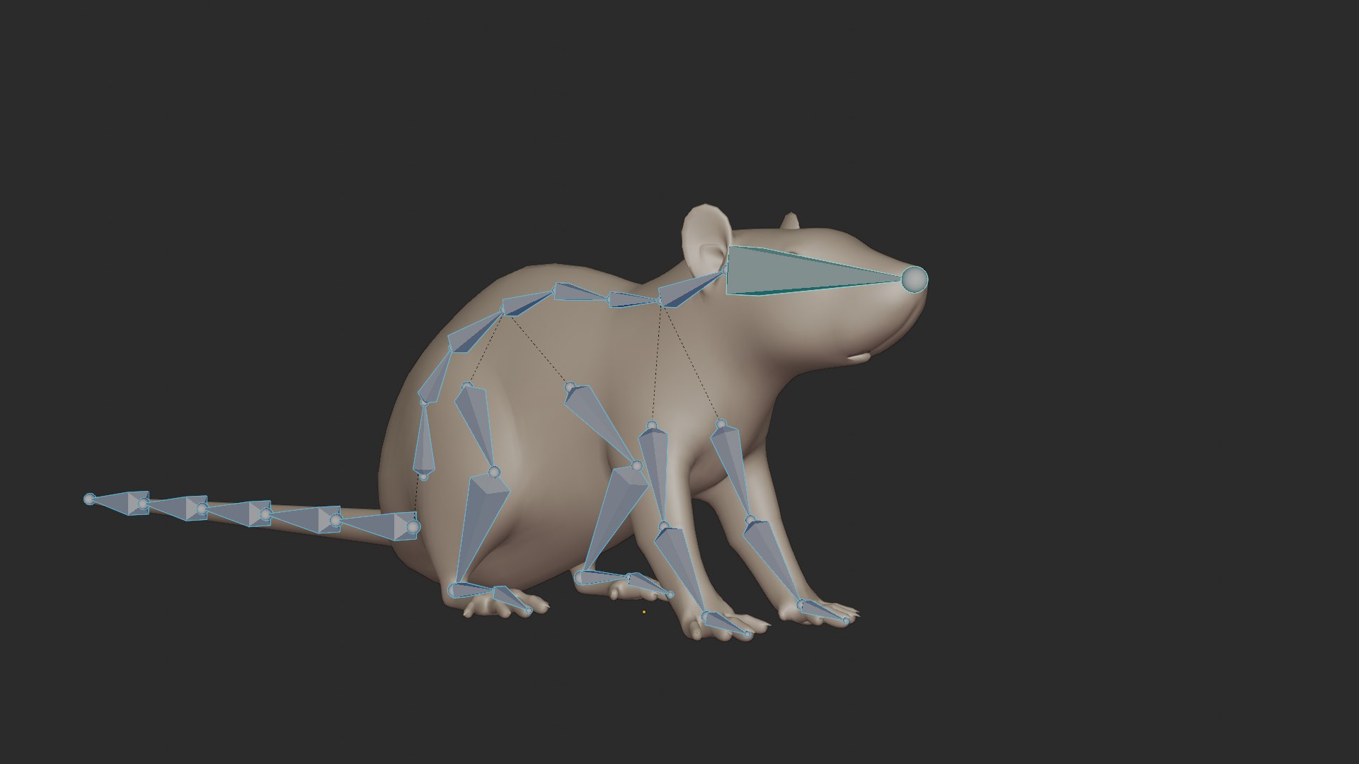 Rat Rigged Basemesh 3D 모델 - TurboSquid 2025572