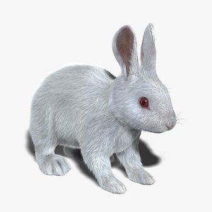 obj rabbit white fur