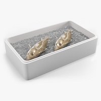 Fresh Carcasses Cod Fish in Tray with Ice