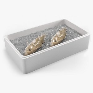 Fresh Carcasses Cod Fish in Tray with Ice