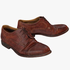 Old Brown Shoes