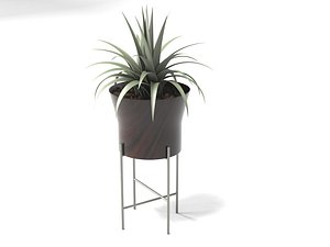 Flower Pot