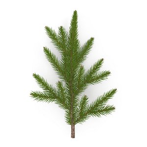 3D Spruce Branch Mid