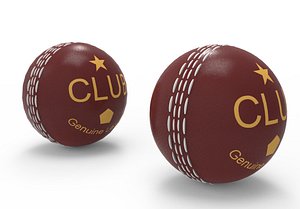 Cricket Ball