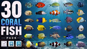 Coral Reef Fish Collection Animated - Game Ready pack 1