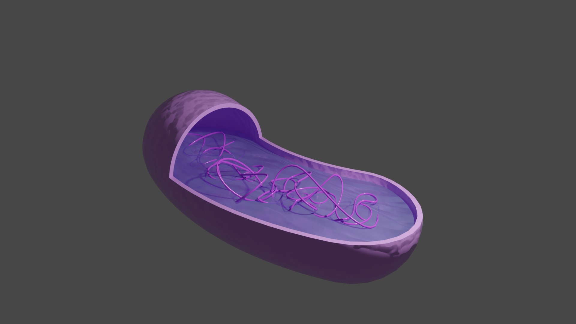 Engineered E Coli Bacteria 3D Model - TurboSquid 2386482