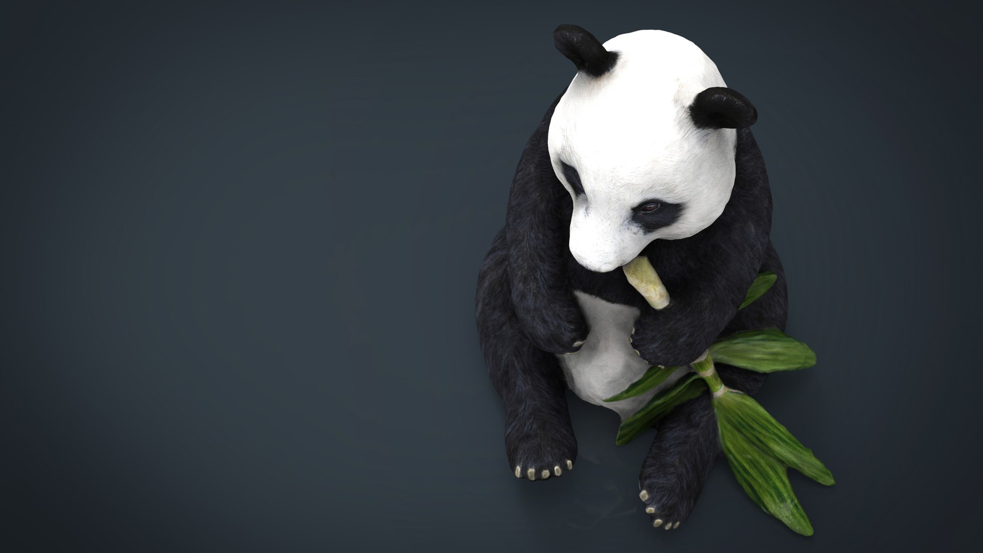 89 Slim Panda Images, Stock Photos, 3D objects, & Vectors