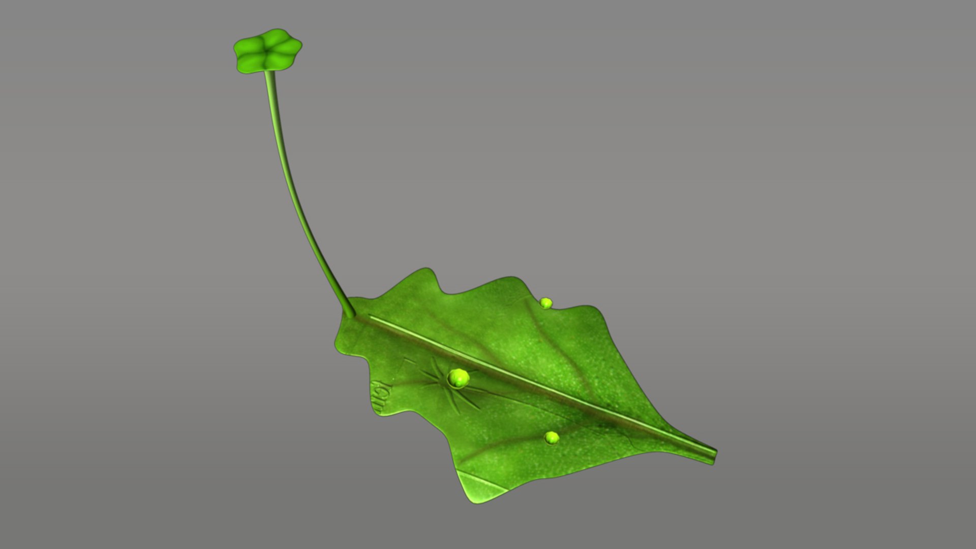 marchantia thallus male 3d obj https://p.turbosquid.com/ts-thumb/z6/msY6Uy/KIwHFXlE/marchantiathallusmale_01/jpg/1384762424/1920x1080/fit_q87/a466ee51cb517f115d73b58a253ab0179a32b2fb/marchantiathallusmale_01.jpg