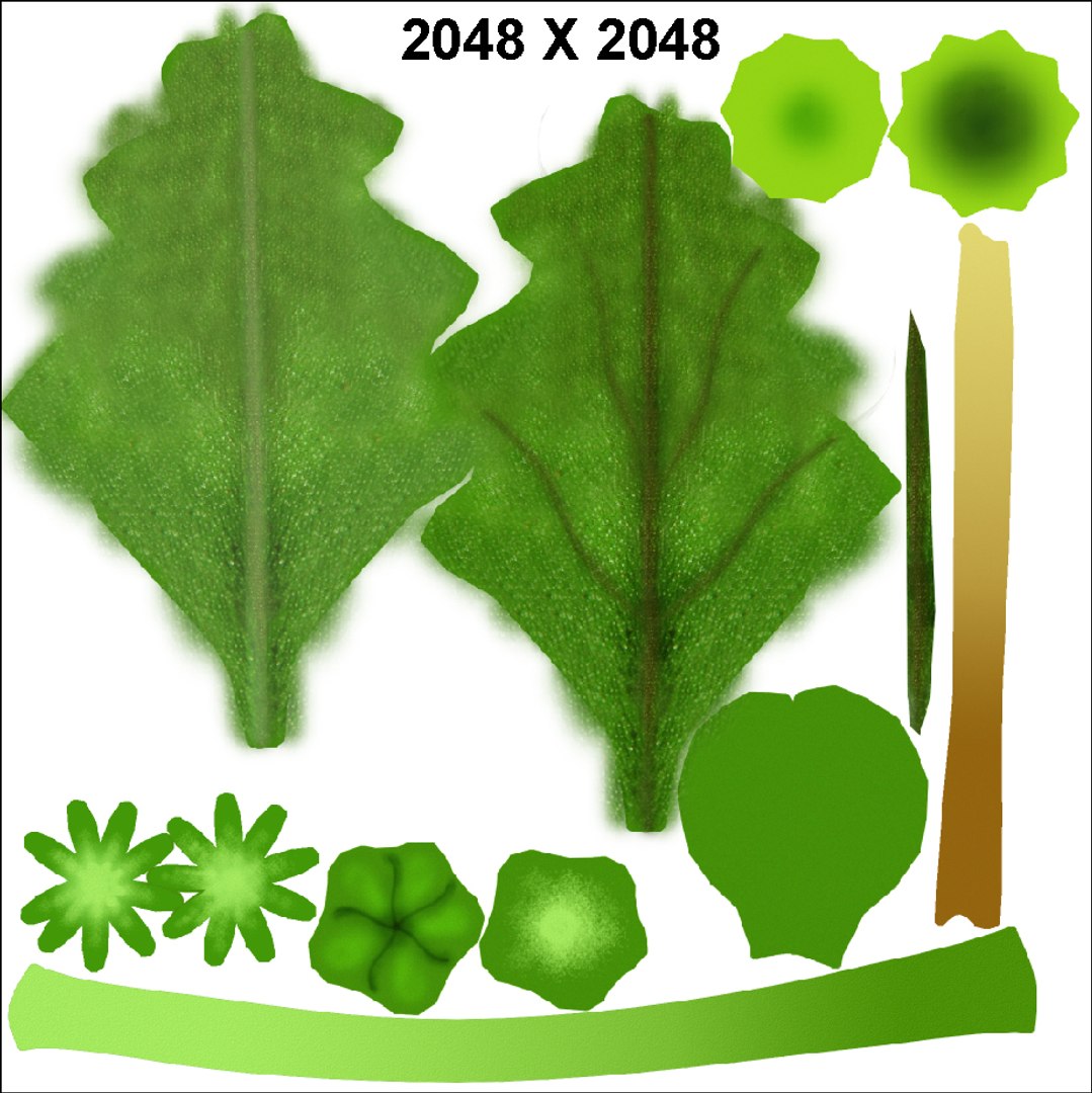 marchantia thallus male 3d obj https://p.turbosquid.com/ts-thumb/z6/msY6Uy/WcNkUbVz/marchantiathallusmale_col/jpg/1384762424/1920x1080/fit_q87/80df17971c6ef5003b5f61065de1fa1a2e0a39d8/marchantiathallusmale_col.jpg