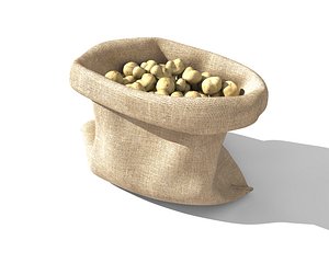 potato sack 3D model