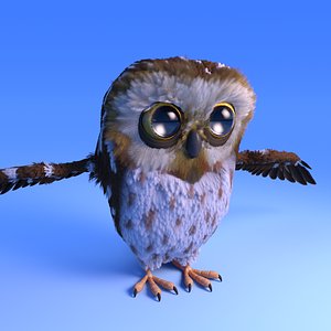 owl cartoon style feather 3D