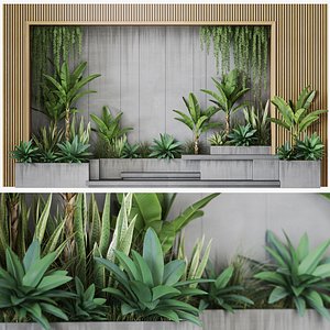 Plant Wall Garden 08