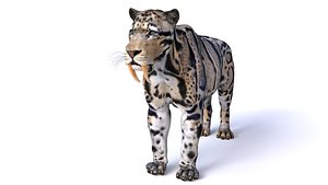 3D Smilodon