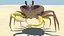 Crab